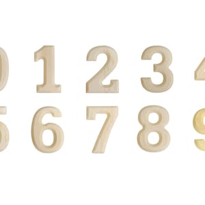 Pode incluir: Um conjunto de dez números de madeira, de zero a nove, dispostos horizontalmente sobre um fundo branco. Os números são de madeira clara, com o número nove em acabamento dourado. Ideal para artesanato ou projetos educacionais.