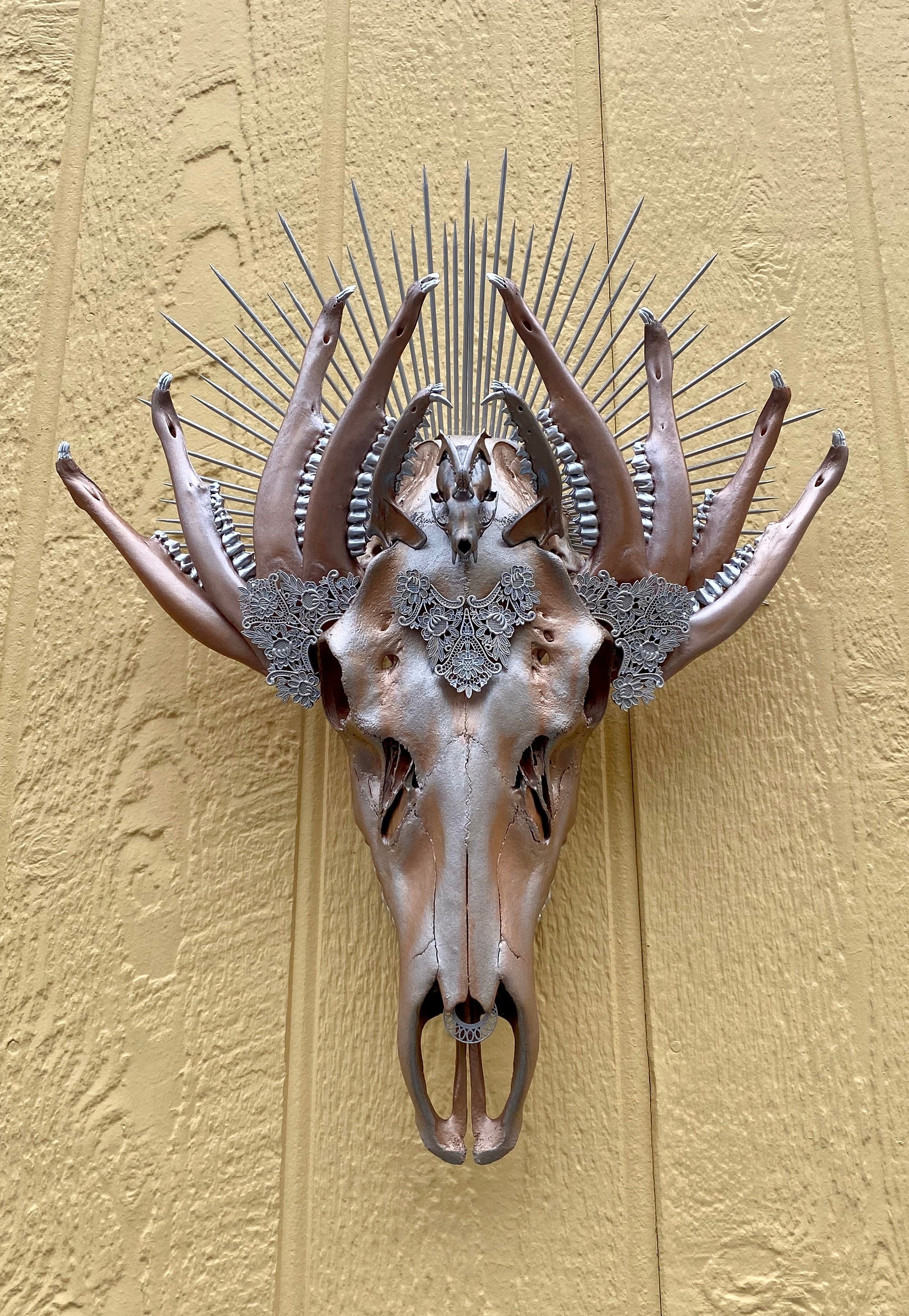 Real Elk Skull With Jawbone and Sunburst Headdress Etsy