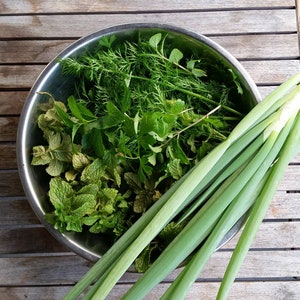 Organic Vegetable & Herb Seeds! Parsley, Dill, Purple Carrots, Spinach, Beetroot, Chives, Kale, Lettuce, Coriander, Parsnip + MANY more!