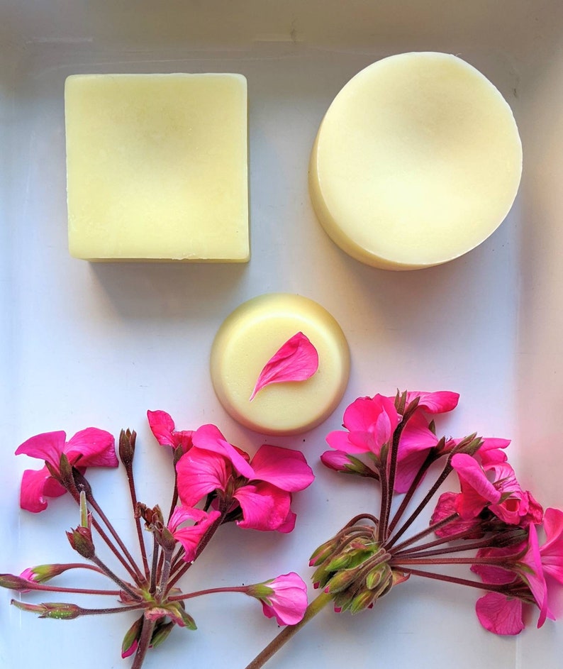 Hydrating Solid Conditioner Bars Vegan SMALL MEDIUM LARGE Etsy