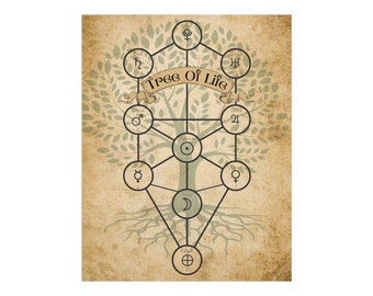 Hermetic Tree of Life Poster 11"x14"