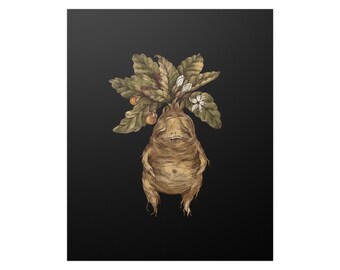 Mandrake Print 9"x11"