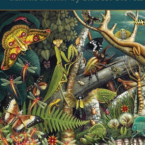 K&ouml;nnte beinhalten: Ein 1000-teiliges Puzzle mit einer lebendigen Illustration einer Dschungelszene mit verschiedenen Insekten, Schmetterlingen und einem Eidechsen. Das Puzzle tr&auml;gt den Titel "Mantis Mundi" von Robert Steven Connett und ist auf einer Oberfl&auml;che mit Samt-Touch gedruckt.