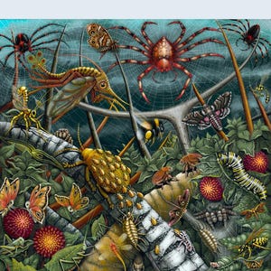 K&ouml;nnte beinhalten: Ein 1000-teiliges Puzzle mit einer farbenfrohen und detailreichen Illustration einer Vielzahl von Insekten und Spinnen, darunter ein gro&szlig;es rotes Spinnennetz, ein gelber K&auml;fer, ein roter Tausendf&uuml;&szlig;ler und eine gr&uuml;ne Heuschrecke. Das Puzzle tr&auml;gt den Titel "Orb Weavers" und stammt von der K&uuml;nstlerin RS Connett.