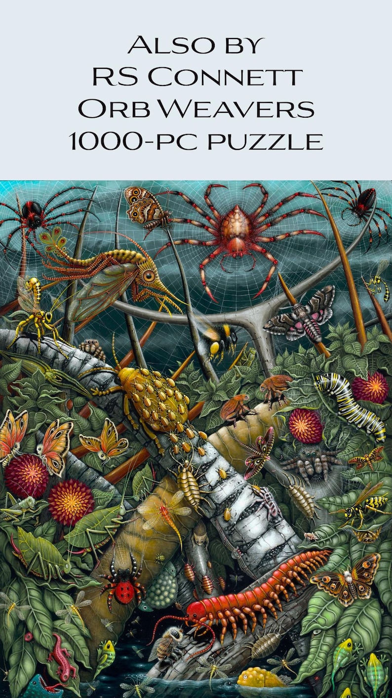 K&ouml;nnte beinhalten: Ein 1000-teiliges Puzzle mit einer farbenfrohen und detailreichen Illustration einer Vielzahl von Insekten und Spinnen, darunter ein gro&szlig;es rotes Spinnennetz, ein gelber K&auml;fer, ein roter Tausendf&uuml;&szlig;ler und eine gr&uuml;ne Heuschrecke. Das Puzzle tr&auml;gt den Titel "Orb Weavers" und stammt von der K&uuml;nstlerin RS Connett.