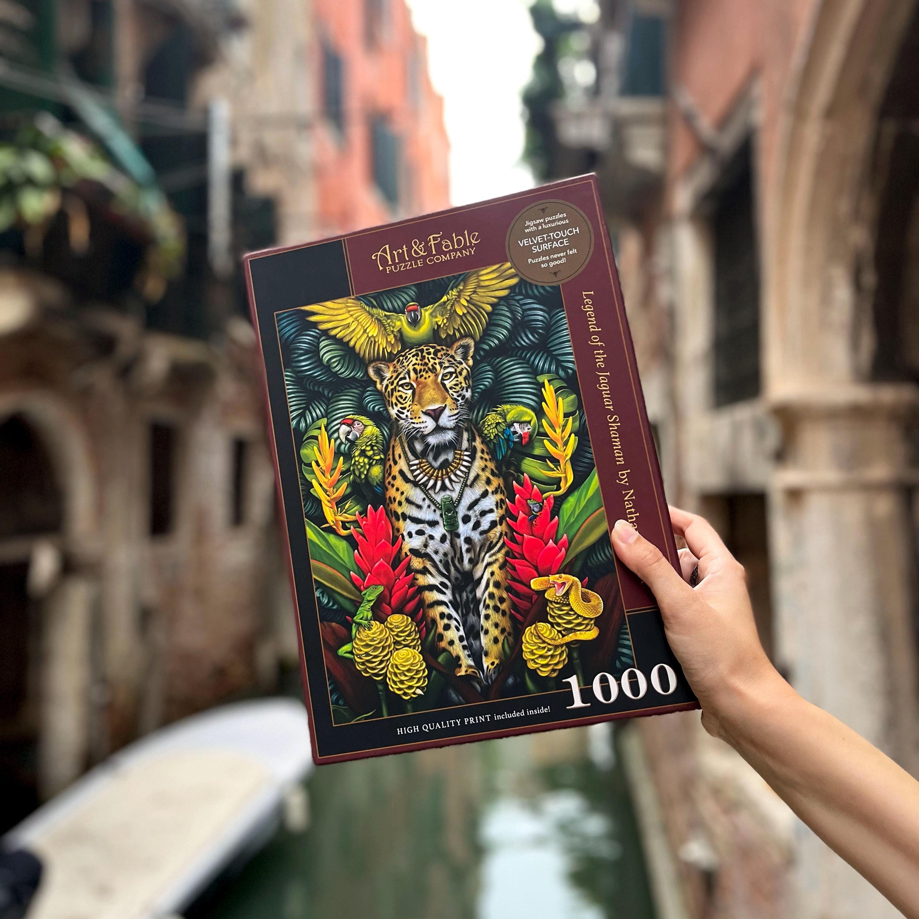 Puzzle 1000 Piece Jigsaw Puzzle For Adults Cheetah Cub Grass Wildlife Intellectual Educational Decompressing Puzzle Family Holiday Puzzle Challenging Family Activity