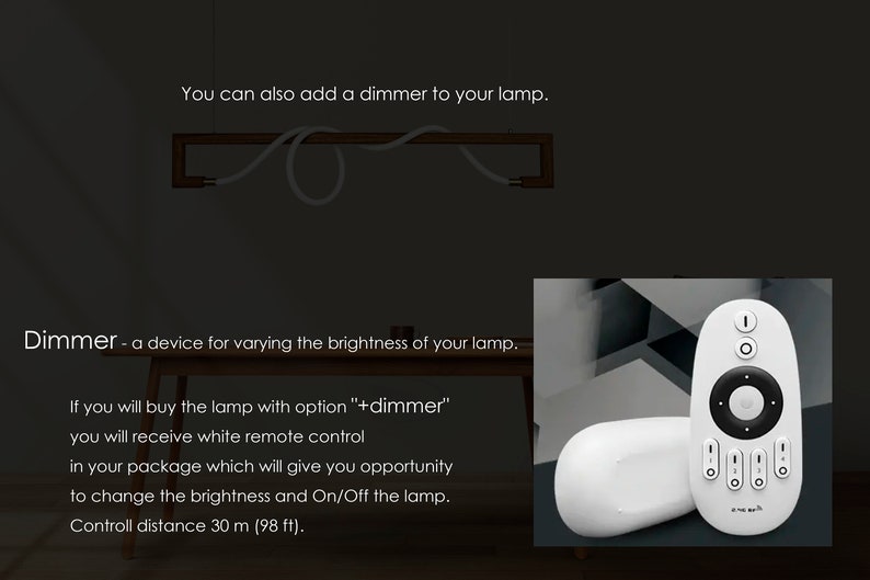 May include: A white remote control with a round button in the centre and four buttons at the bottom. The remote control is used to dim the brightness of a lamp and turn it on and off. The text on the remote control reads "+dimmer". The control distance is 30 metres (98 feet).