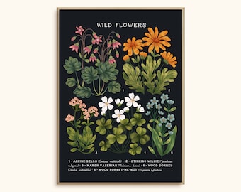 May include: A framed print showcasing botanical illustrations of wildflowers on a dark backdrop. The artwork features detailed depictions of Alpine Bells, Stinking Willie, Marsh Valerian, Wood Sorrel, and Wood Forget-Me-Not, with their scientific names.