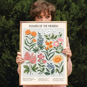 K&ouml;nnte beinhalten: Ein Vintage-Poster mit botanischen Illustrationen mit dem Titel "Flowers of the Meadow", das eine Sammlung bunter Wildblumen zeigt, deren Namen und Nummern unten aufgelistet sind. Das Poster hat einen hellblauen Hintergrund und ist in einem goldenen Rahmen gerahmt.