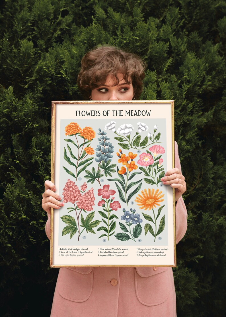 K&ouml;nnte beinhalten: Ein Vintage-Poster mit botanischen Illustrationen mit dem Titel "Flowers of the Meadow", das eine Sammlung bunter Wildblumen zeigt, deren Namen und Nummern unten aufgelistet sind. Das Poster hat einen hellblauen Hintergrund und ist in einem goldenen Rahmen gerahmt.