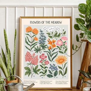 K&ouml;nnte beinhalten: Ein botanisches Illustrationsplakat mit dem Titel "Flowers of the Meadow", das eine Vielzahl von Blumen in den Farben Rosa, Orange, Blau und Wei&szlig; zeigt. Das Plakat enth&auml;lt die Namen jeder Blume und ihre lateinischen Namen.