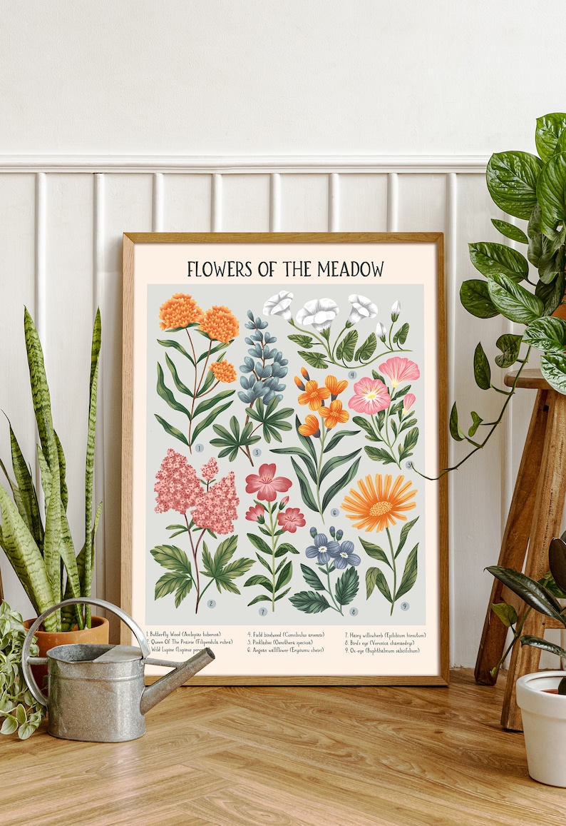K&ouml;nnte beinhalten: Ein botanisches Illustrationsplakat mit dem Titel "Flowers of the Meadow", das eine Vielzahl von Blumen in den Farben Rosa, Orange, Blau und Wei&szlig; zeigt. Das Plakat enth&auml;lt die Namen jeder Blume und ihre lateinischen Namen.
