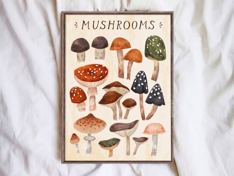 Mushrooms Art Print Wall Art A4 Print Home Decoration Etsy