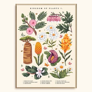 Kingdom of the Plants Art Print: Vintage-Inspired Floral Illustration, Wall Decor