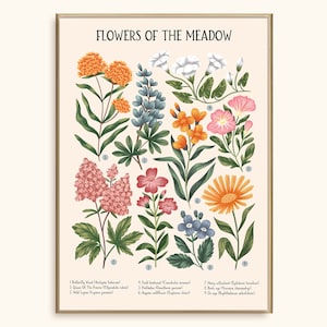 Fiori del prato ~ beige / Poster 50 x 70 cm / Stampa floreale / Arte murale / Decorazione per la casa / Illustrazione / Arte botanica