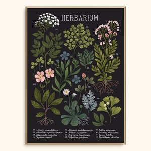 Poster 50x70 Erbario ~ nero / Stampa artistica / Stampa artistica floreale / Decorazione per la casa / Illustrazione / Arte botanica / Poster di ispirazione vintage