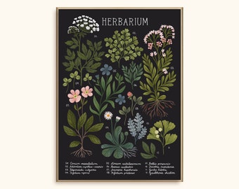 Schwarzes Herbarium Art Print: Vintage-inspirierte Blumen-Illustration, Wand-Dekor