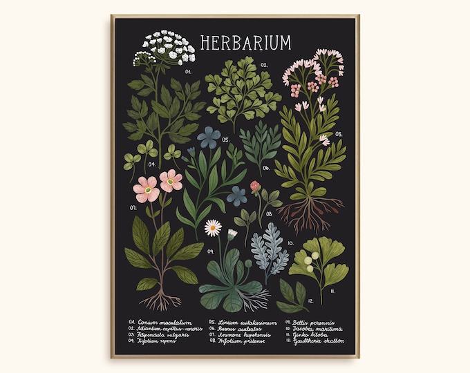 Poster Herbier 50 x 70 ~ noir | Affiche 50 x 70 cm | Imprimé floral | Art mural | Décoration d'intérieur | Illustration | Art botanique