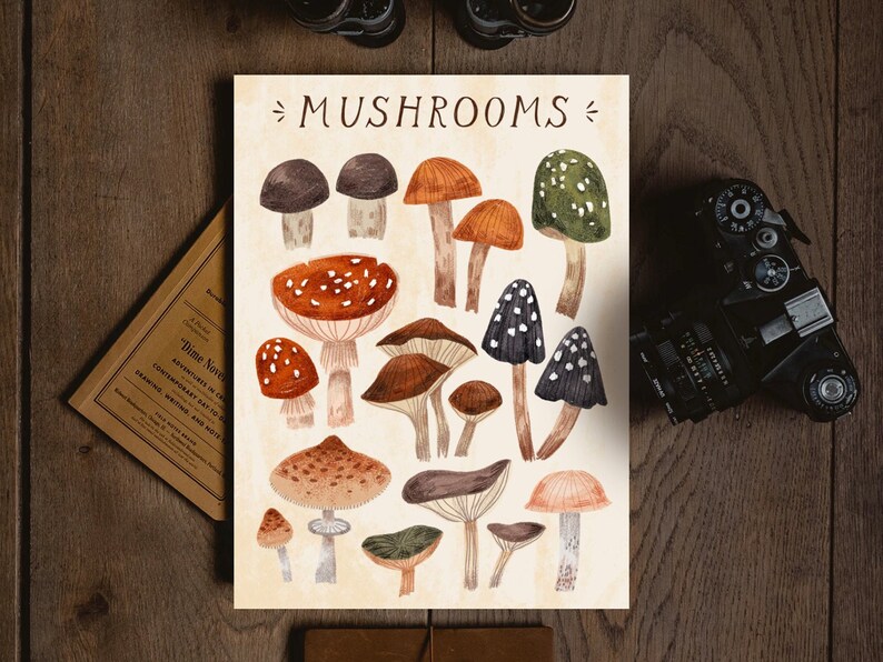 Mushrooms Art Print Wall Art A4 Print Home Decoration Etsy