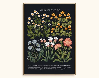 May include: A black background featuring five different types of wild flowers, labelled with their names and numbers. The flowers are feverfew, yellow wood anemone, chicory, evening campion, and carnation.