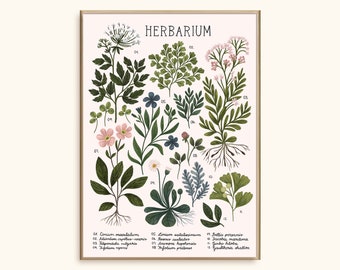 Herbarium Kunstdruck: Vintage-inspirierte Blumen-Illustration, Wand-Dekor