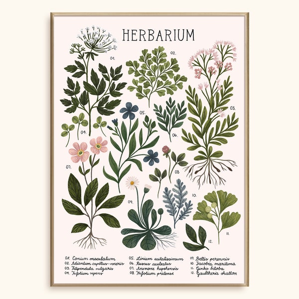 50x70 Poster Herbarium ~ white | Poster 50 x 70 cm | Floral Print | Wall Art | Home Decoration | Illustration | Botanical Art