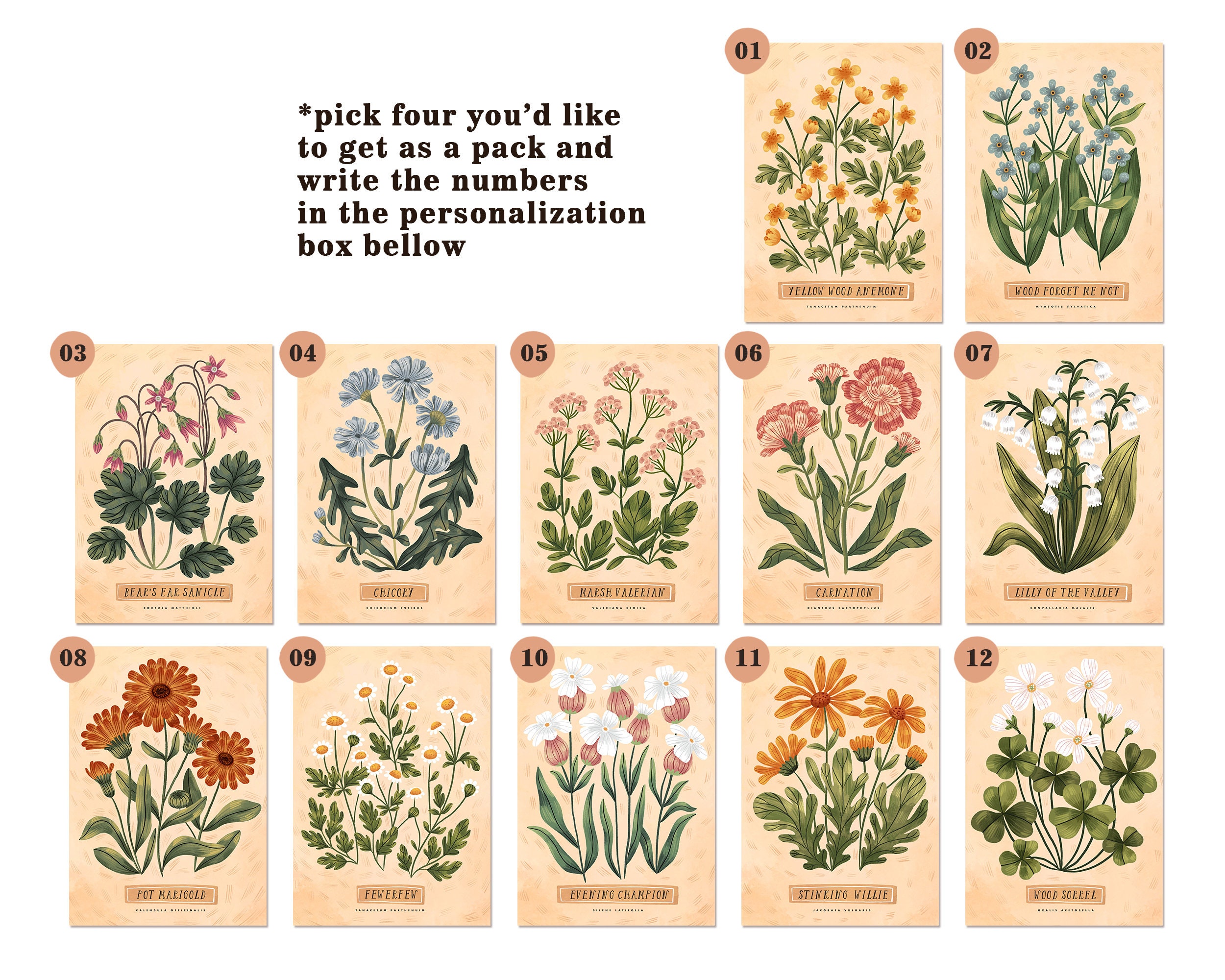 Pack of 4 Botanical Prints personalized Art Print | Etsy