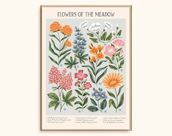 Blumen der Wiese Kunstdruck: Vintage-inspirierte Blumen-Illustration, Wanddeko
