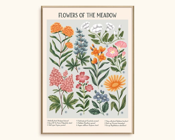 Flowers of the Meadow Art Print: Vintage-Inspired Floral Illustration, Wall Decor