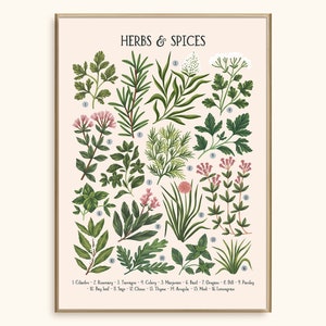 Kräuter & Gewürze - Beige | Kunstdruck | Floral Art Print | Dekoration | Illustration | Botanische Kunst | Vintage inspiriertes Plakat