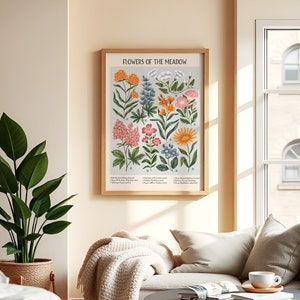 K&ouml;nnte beinhalten: Ein gerahmter botanischer Druck mit hellblauem Hintergrund und dem Titel "Flowers of the Meadow". Der Druck zeigt eine Vielzahl von bunten Blumen, darunter rosa, orange, gelb und blau.