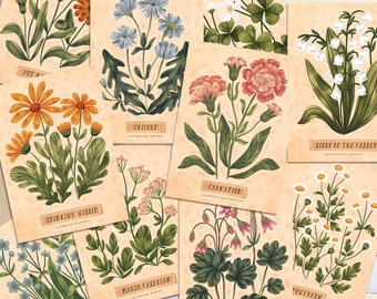 Vintage botanische Kunstdruck | Wählen Sie Ihre Blumenillustrationen