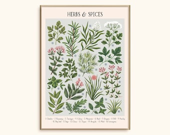 Kräuter & Gewürze Illustration Kunstdruck: Vintage-inspirierte Blumen Illustration