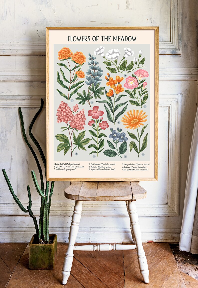 K&ouml;nnte beinhalten: Ein botanisches Illustrationsposter mit dem Titel "Flowers of the Meadow", das neun verschiedene Blumenarten mit ihren Namen und Nummern zeigt. Die Blumen sind im Vintage-Stil mit detaillierten Farben und Texturen illustriert. Der Hintergrund ist hellgrau.