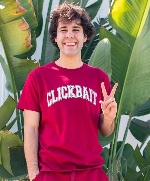 david dobrik garnet clickbait hoodie