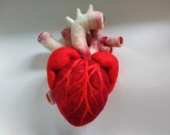Anatomical heart 19 cm,sculpture,home decoration,Realistic Anatomy Art,Human Heart,Gift for Doctor,offbeart valentine, Sounenir