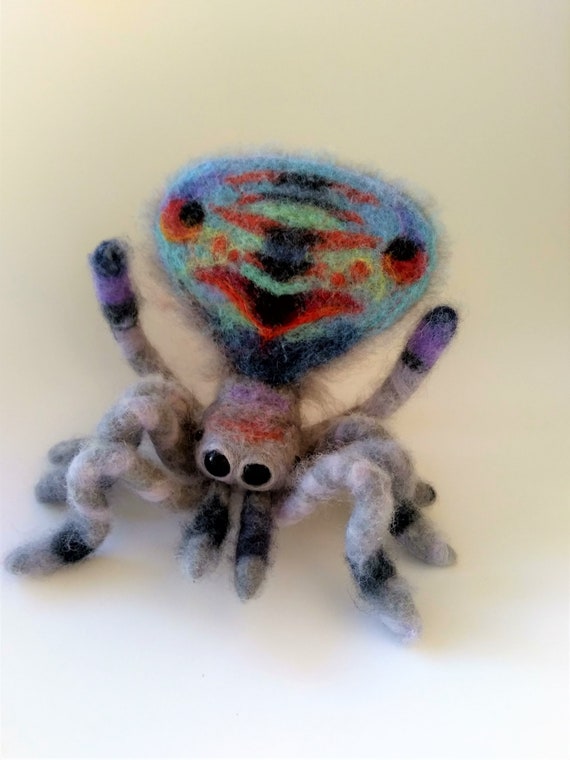 Arana Pavo Real Fieltro De Aguja Maratus Sarahaeescultura Etsy Espana Arana Pavo Real Fieltro De Aguja Maratus Sarahaeescultura Etsy Espana