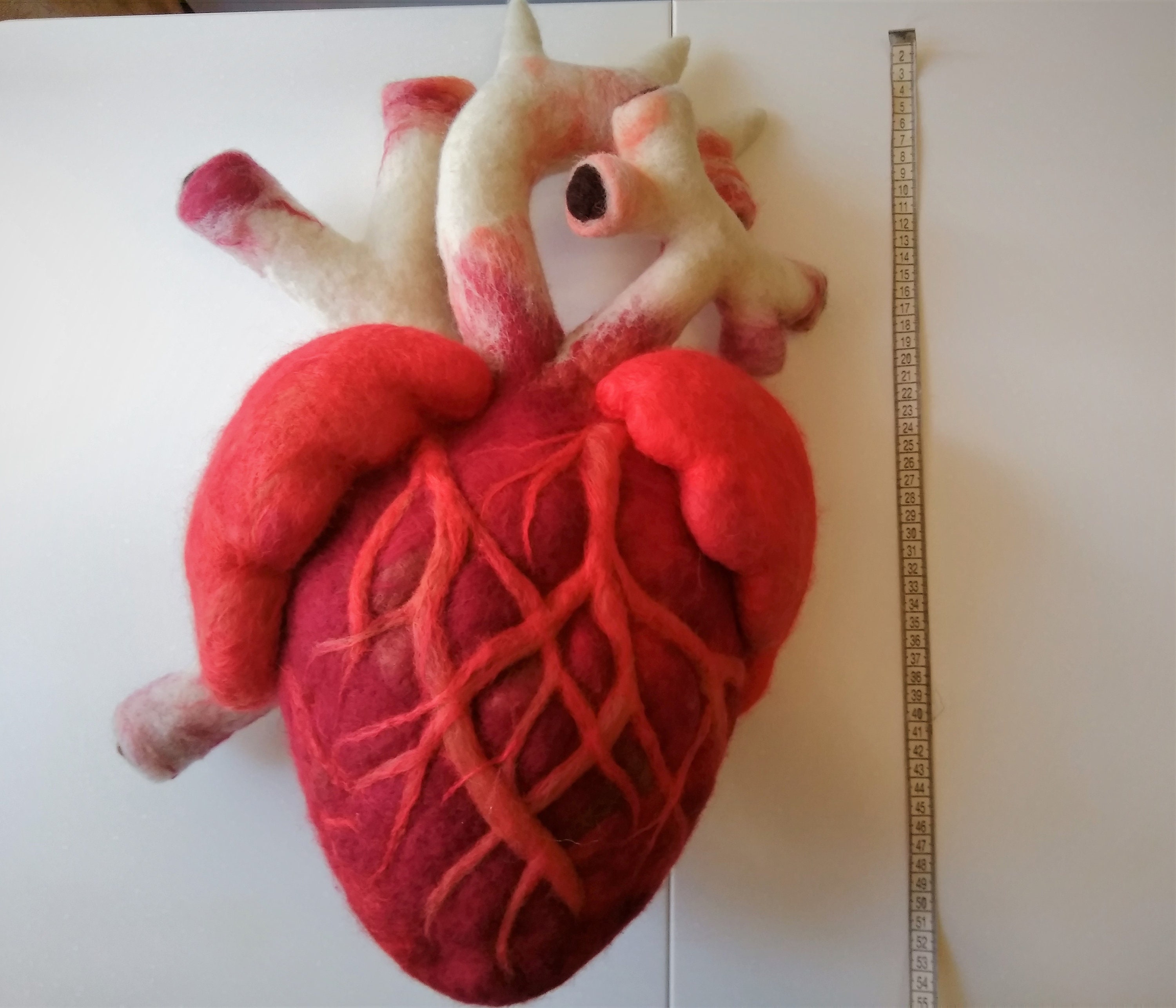 Anatomical heart 55cm Home sculpture big heartRealistic | Etsy