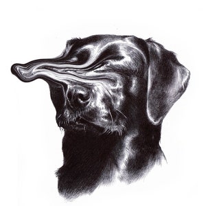 Puede incluir: Dibujo en tinta negra y blanca de la cabeza de un perro con un diseño abstracto distorsionado sobre los ojos y la nariz.