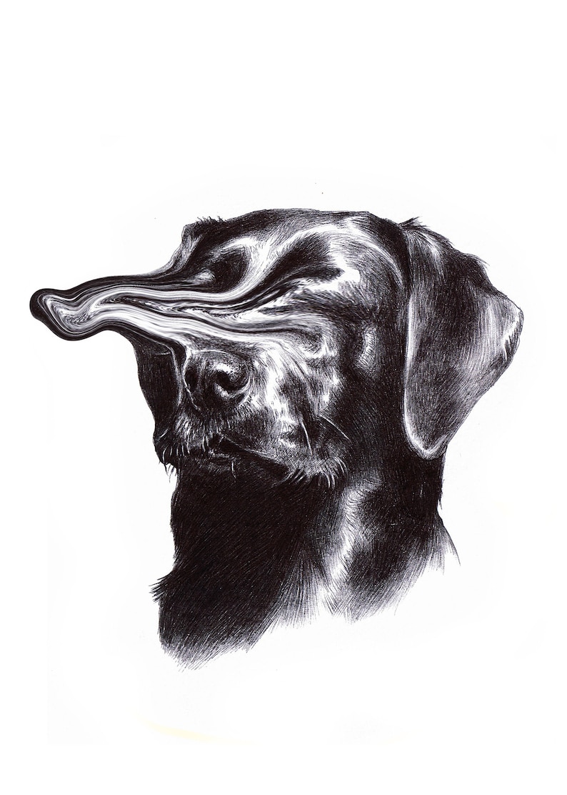 max image 1