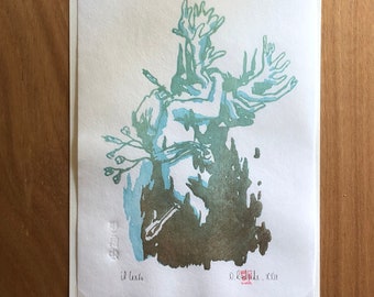 Japanischer Druck „Il Cervo“ (Der Hirsch – 鹿) von D.Rodride – Traditionelles Mokuhanga, vollständig von Hand graviert und gedruckt – [Hosho]