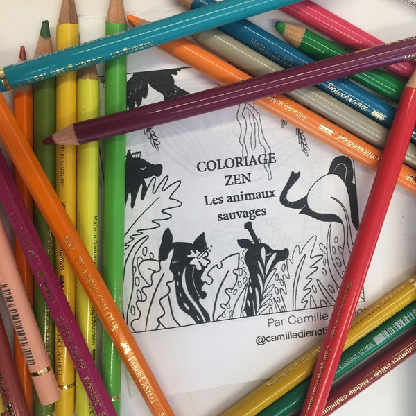 Mini livre de coloriage DIY : Les animaux sauvages