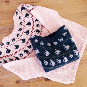 Può includere: Due maglioni lavorati a maglia in rosa chiaro e blu navy. Il maglione più grande ha uno scollo tondo e un motivo di forme blu scuro con accenti a zig-zag rossi. Il maglione più piccolo è blu navy con un motivo bianco.