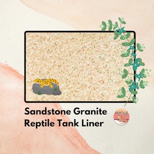 Peut inclure: Sous-couche de terrarium en granit et grès, un substrat décoratif pour les terrariums, avec un motif réaliste de grès et de granit. L'image montre un petit lézard sur un rocher, suggérant l'utilisation du produit pour les habitats de reptiles.