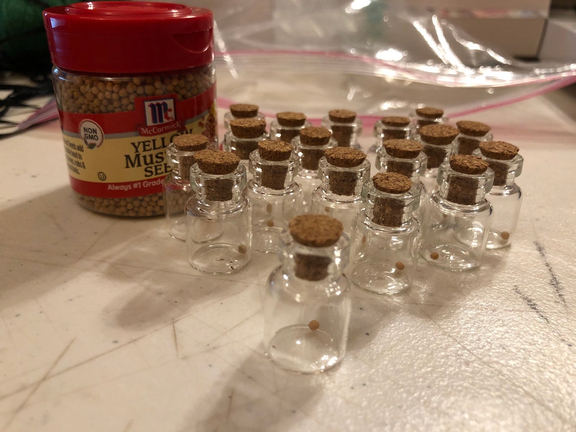 Faith mustard seed bottles for rear view mirror baptism Etsy