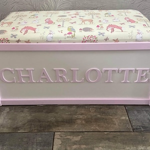 Personalised toy box with safety gas strut.