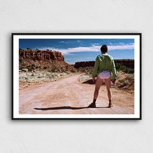 WALTER WHITE Underpants Poster 11x17 Inches
