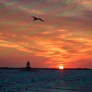 May include: A silhouette of a lighthouse on a small island with a bird flying overhead. The sun is setting over the water, creating a vibrant orange and pink sky.