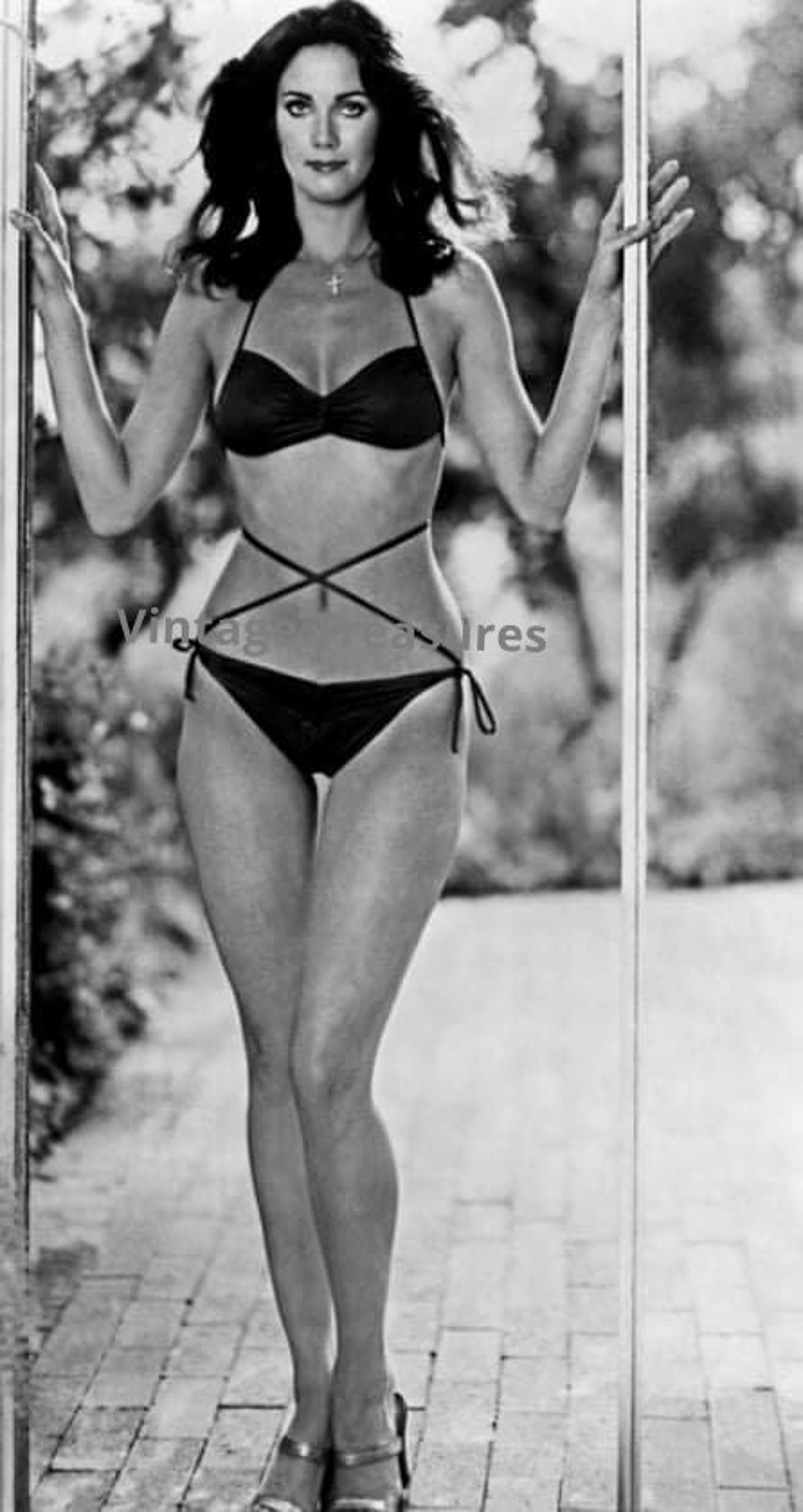 Lynda carter bikini pics
