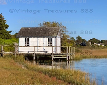 Un águila pescadora visita el North Fork Crab Shack de Long Island